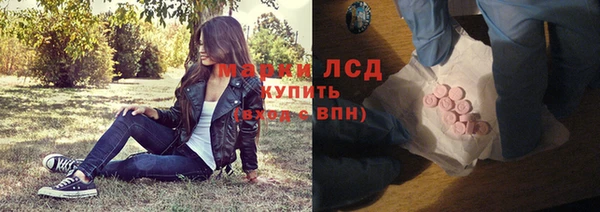 ПСИЛОЦИБИНОВЫЕ ГРИБЫ Заволжье